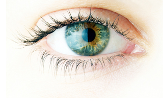 article_other_eye.jpg